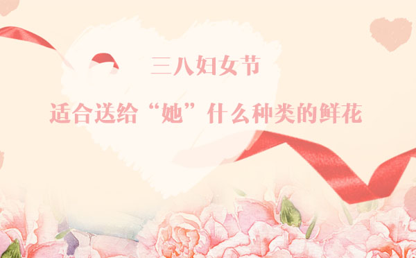 三八婦女節(jié)，適合送給“她”什么種類的鮮花？